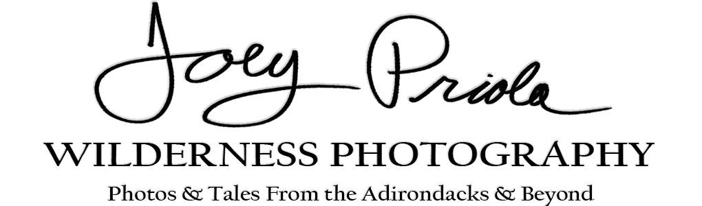 Joey Priola Wilderness Photography